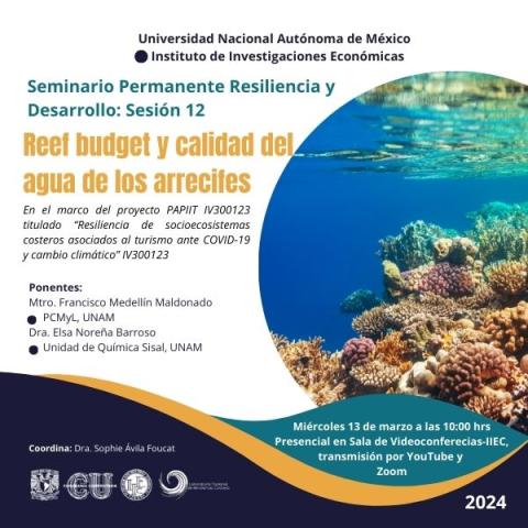 Seminario Permanente Resiliencia 12a sesion