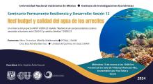 Seminario Permanente Resiliencia 12a sesion