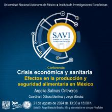 savi-iiec-2024-2-3