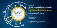 savi-iiec-2024-2-3