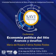 savi-iiec-2025-1-10