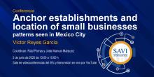 savi-iiec-2025-1-11